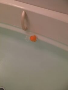 三角コーナー用ネットに入れたミカンの皮を浴槽に浮かべた